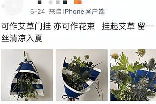 英超近十年首次三强争霸！历史上，这样的局面曾有过4次……